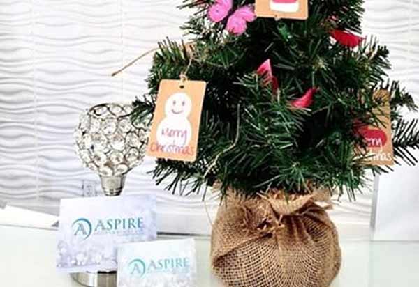 Post: Aspire Holiday Gift Guide: Make This Season Unforgettable in Tampa, FL