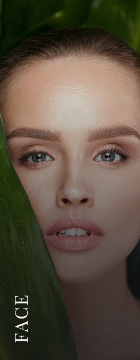 Facial Treatments in Tampa, FL